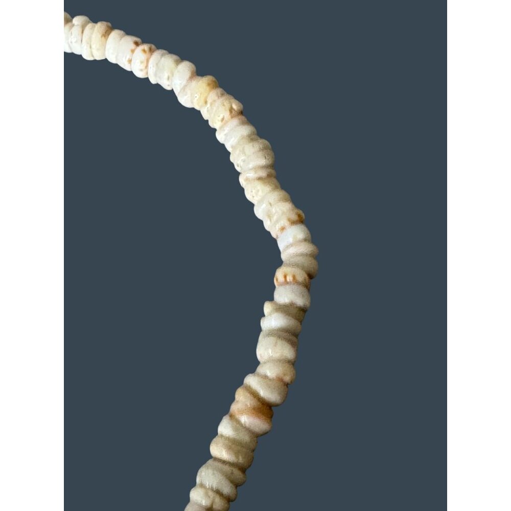 Old Southwestern Puka Oyster Shell Necklace Turquoise Accent & Sterling Silver - Picture 10 of 12